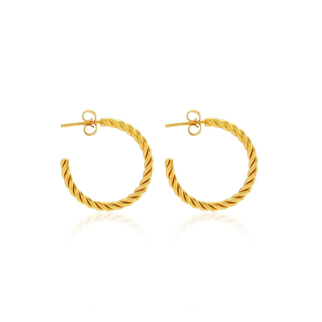 Swirly Hoop Earrings - La Vitá Jewels