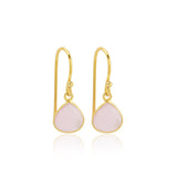 Rainbow Moonstone Dangle Earrings