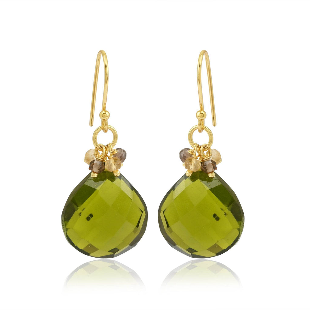 Sterling Silver Natures Embraced Gem Stone Drop Earrings - La Vitá Jewels