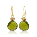 Sterling Silver Natures Embraced Gem Stone Drop Earrings - La Vitá Jewels