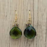 Nature's Embrace Drop Earrings