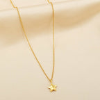Star in the Sky Necklace - La Vitá Jewels