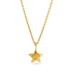 Star in the Sky Necklace - La Vitá Jewels