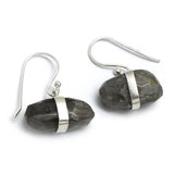 Silver Plated Labradorite  Dangle Earrings