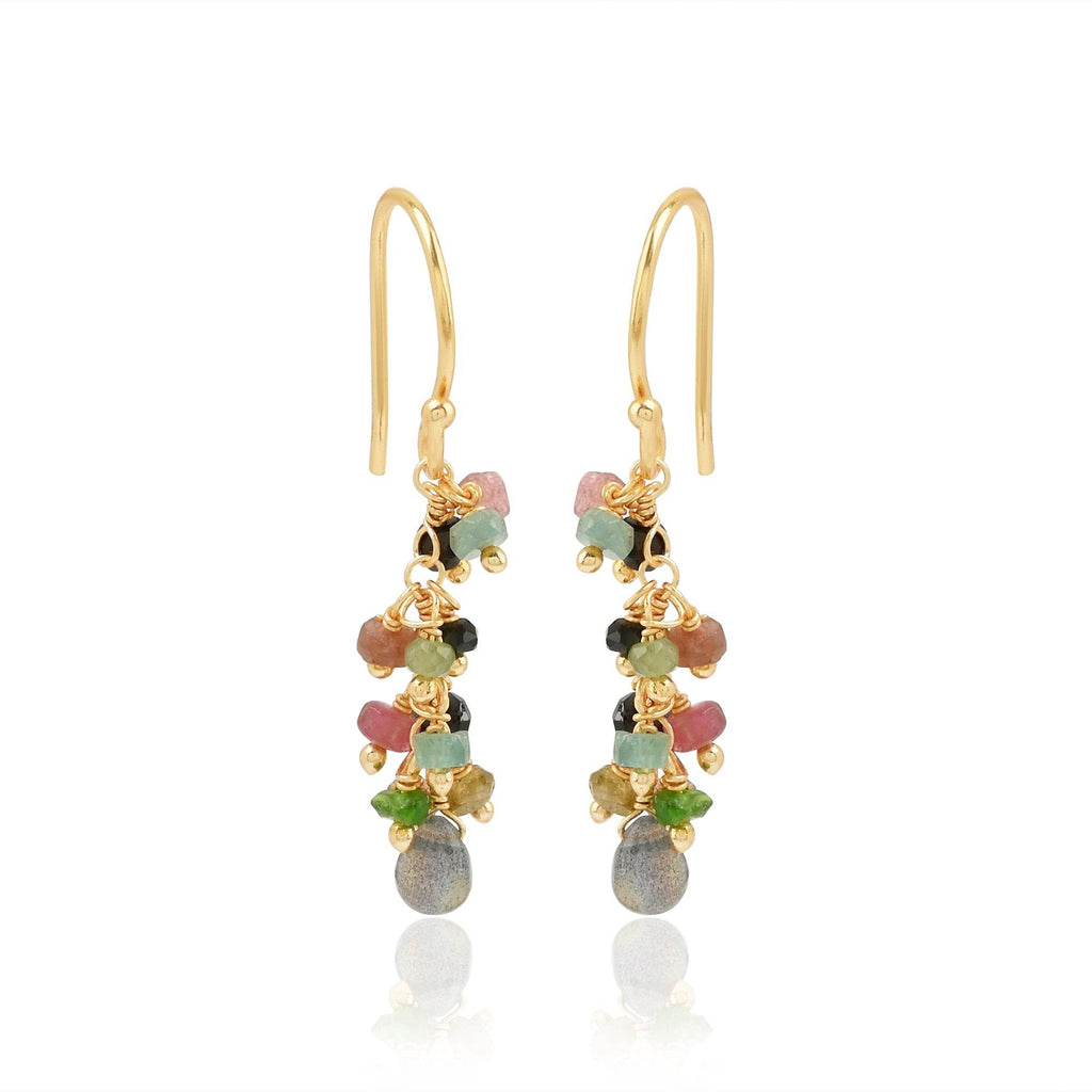 Multi Tourmaline and Labradorite Dangle Earring - La Vitá Jewels