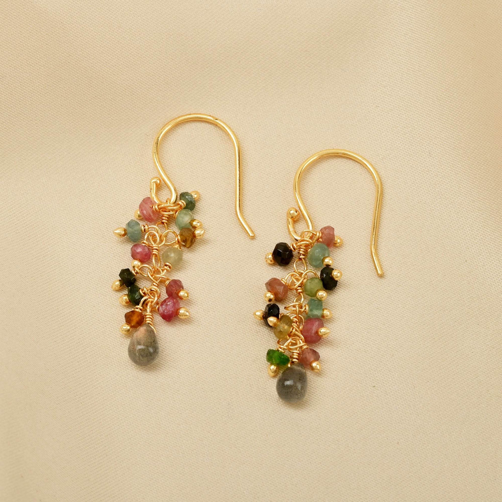 Multi Tourmaline and Labradorite Dangle Earring - La Vitá Jewels