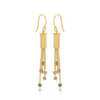 Labradorite Beads Fringe Dangle Earrings - La Vitá Jewels