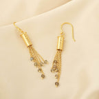 Labradorite Beads Fringe Dangle Earrings - La Vitá Jewels