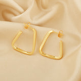 Twisted Hoop Earrings