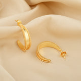 Twisted Hoop Earrings