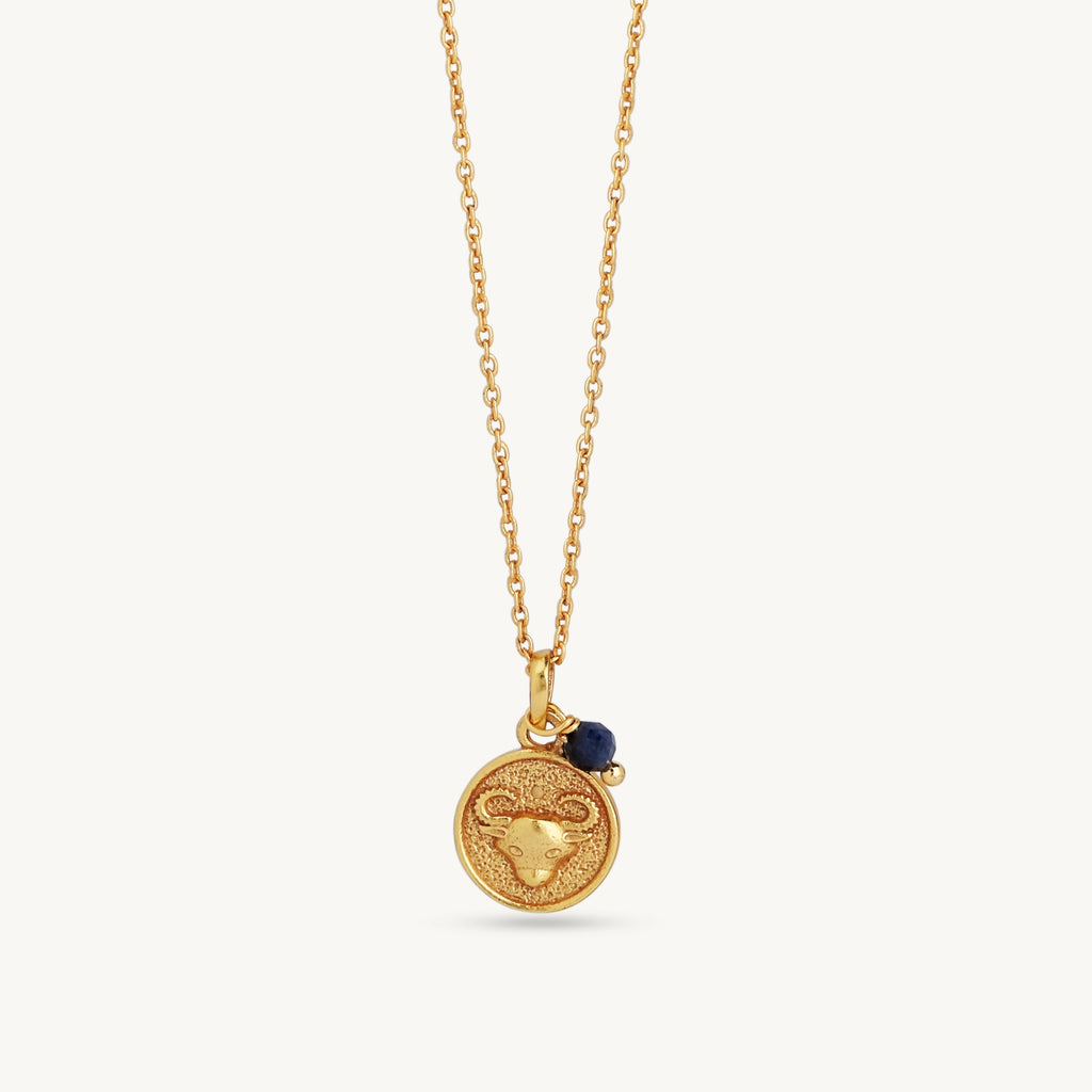 Gold Zodiac Sign Birthstone Necklace