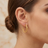 Golden Symphony Textured Hoops